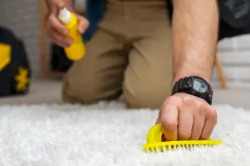 Halı Yıkama İpuçları